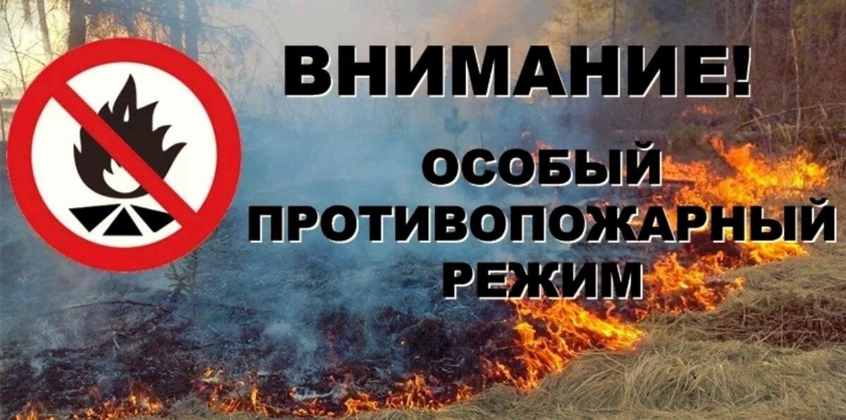 В Омской области с сегодняшнего дня введен особый противопожарный режим.