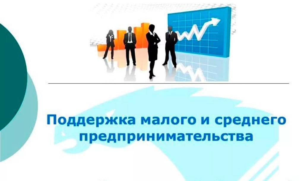 Меры поддержки начинающим субъектам малого предпринимательства. Льготные режимы налогообложения.