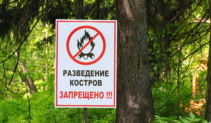 В районе до 14 июня действуют ограничения на посещение лесов, введенные из-за особого противопожарного режима.